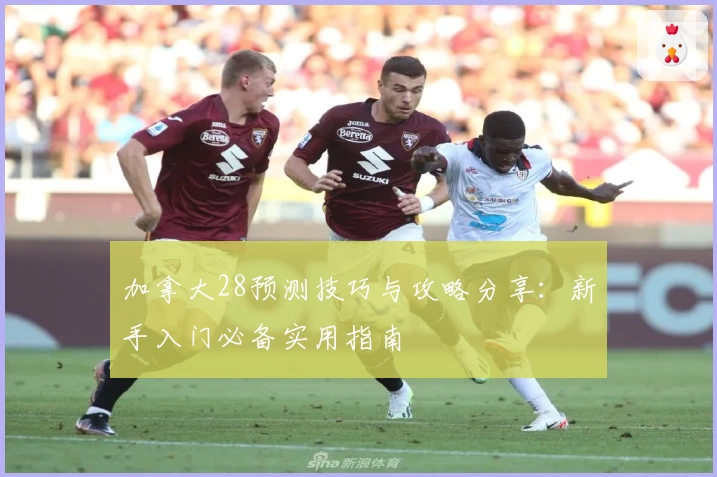 加拿大28预测技巧与攻略分享：新手入门必备实用指南