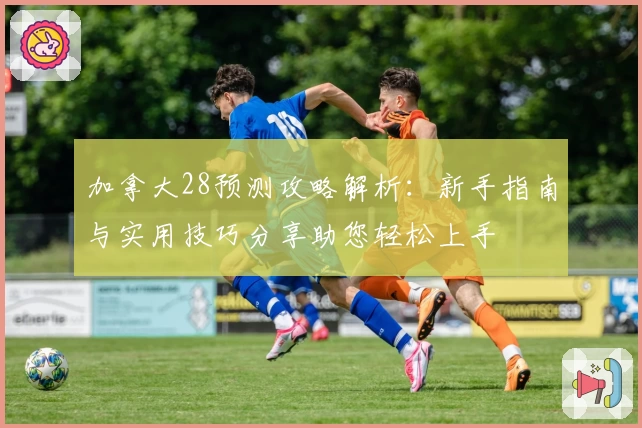 加拿大28预测攻略解析：新手指南与实用技巧分享助您轻松上手