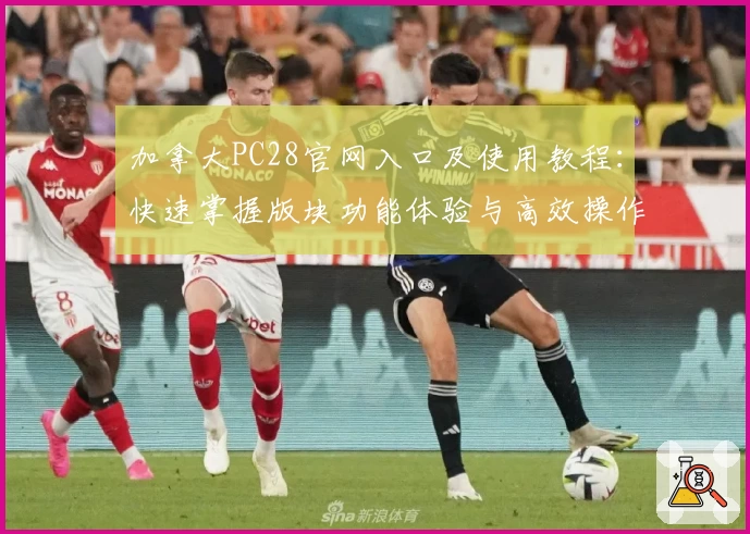 加拿大PC28官网入口及使用教程：快速掌握版块功能体验与高效操作技巧