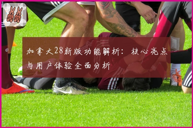 加拿大28新版功能解析：核心亮点与用户体验全面分析