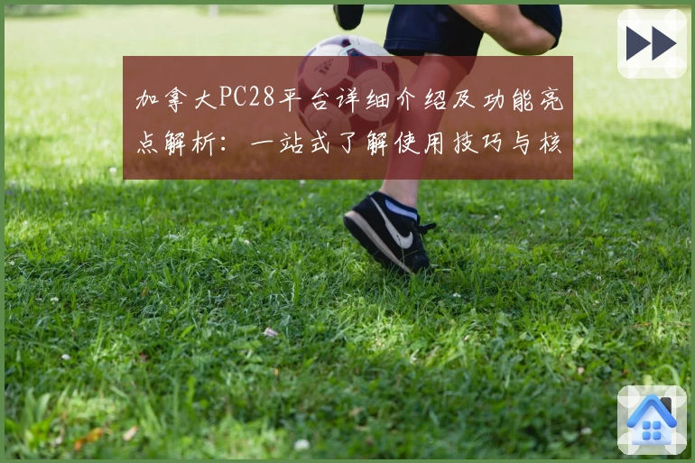 加拿大PC28平台详细介绍及功能亮点解析：一站式了解使用技巧与核心优势