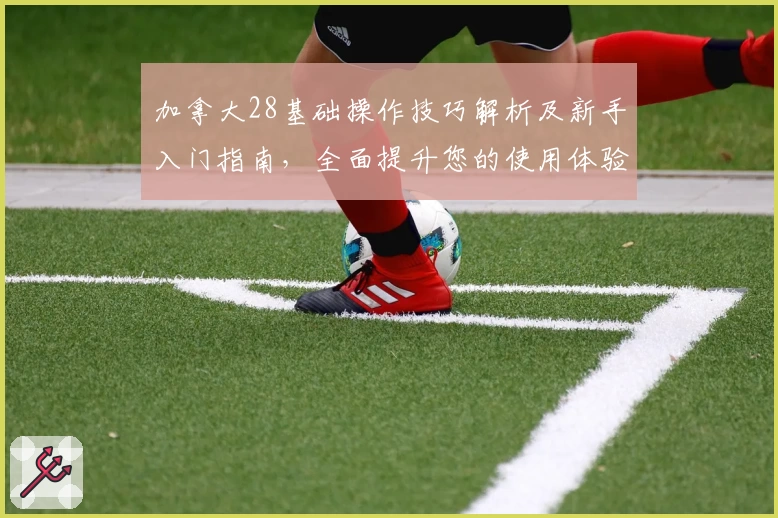 加拿大28基础操作技巧解析及新手入门指南，全面提升您的使用体验