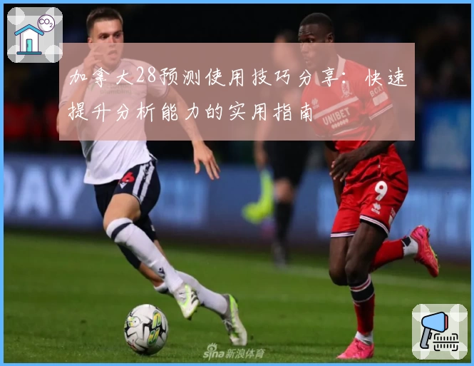 加拿大28预测使用技巧分享：快速提升分析能力的实用指南
