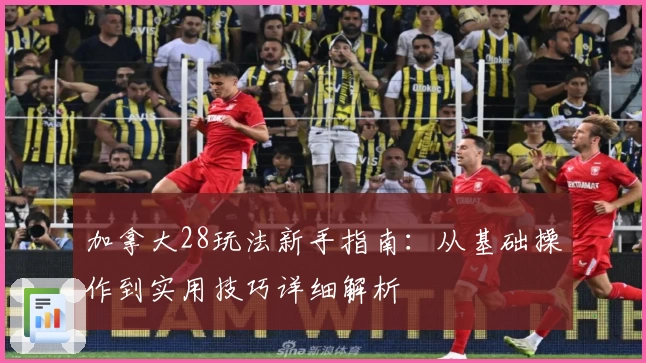 加拿大28玩法新手指南：从基础操作到实用技巧详细解析