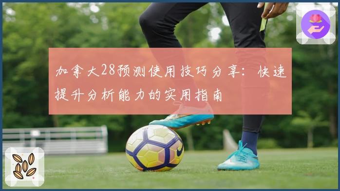 加拿大28预测使用技巧分享：快速提升分析能力的实用指南