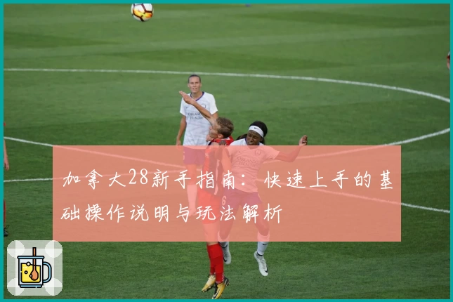 加拿大28新手指南：快速上手的基础操作说明与玩法解析