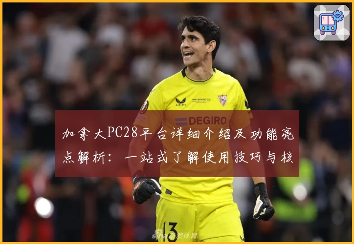 加拿大PC28平台详细介绍及功能亮点解析：一站式了解使用技巧与核心优势