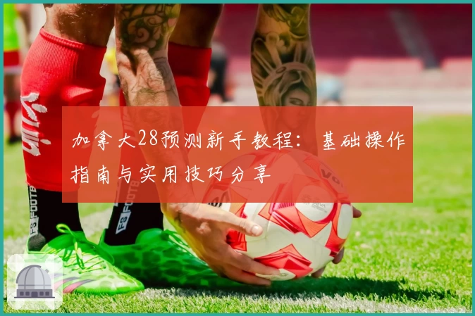 加拿大28预测新手教程：基础操作指南与实用技巧分享