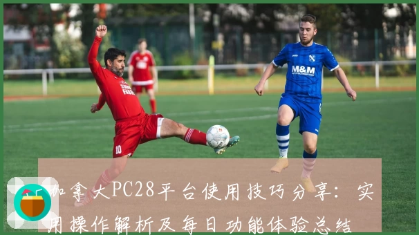 加拿大PC28平台使用技巧分享：实用操作解析及每日功能体验总结