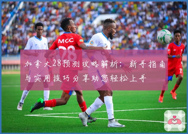 加拿大28预测攻略解析：新手指南与实用技巧分享助您轻松上手