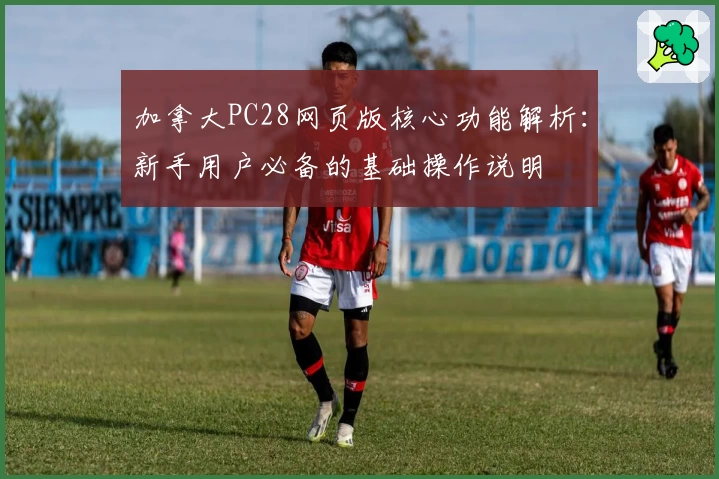 加拿大PC28网页版核心功能解析：新手用户必备的基础操作说明