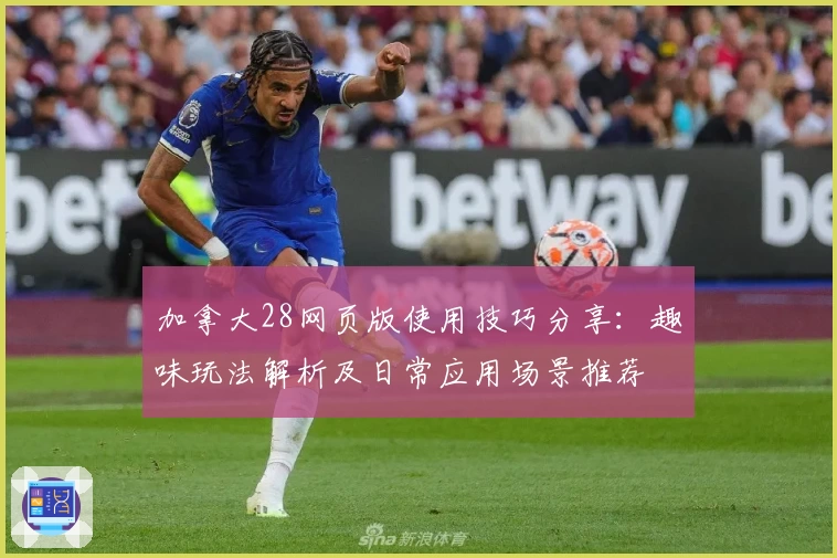 加拿大28网页版使用技巧分享：趣味玩法解析及日常应用场景推荐