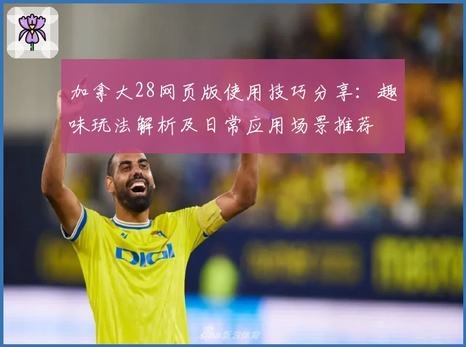 加拿大28网页版使用技巧分享：趣味玩法解析及日常应用场景推荐